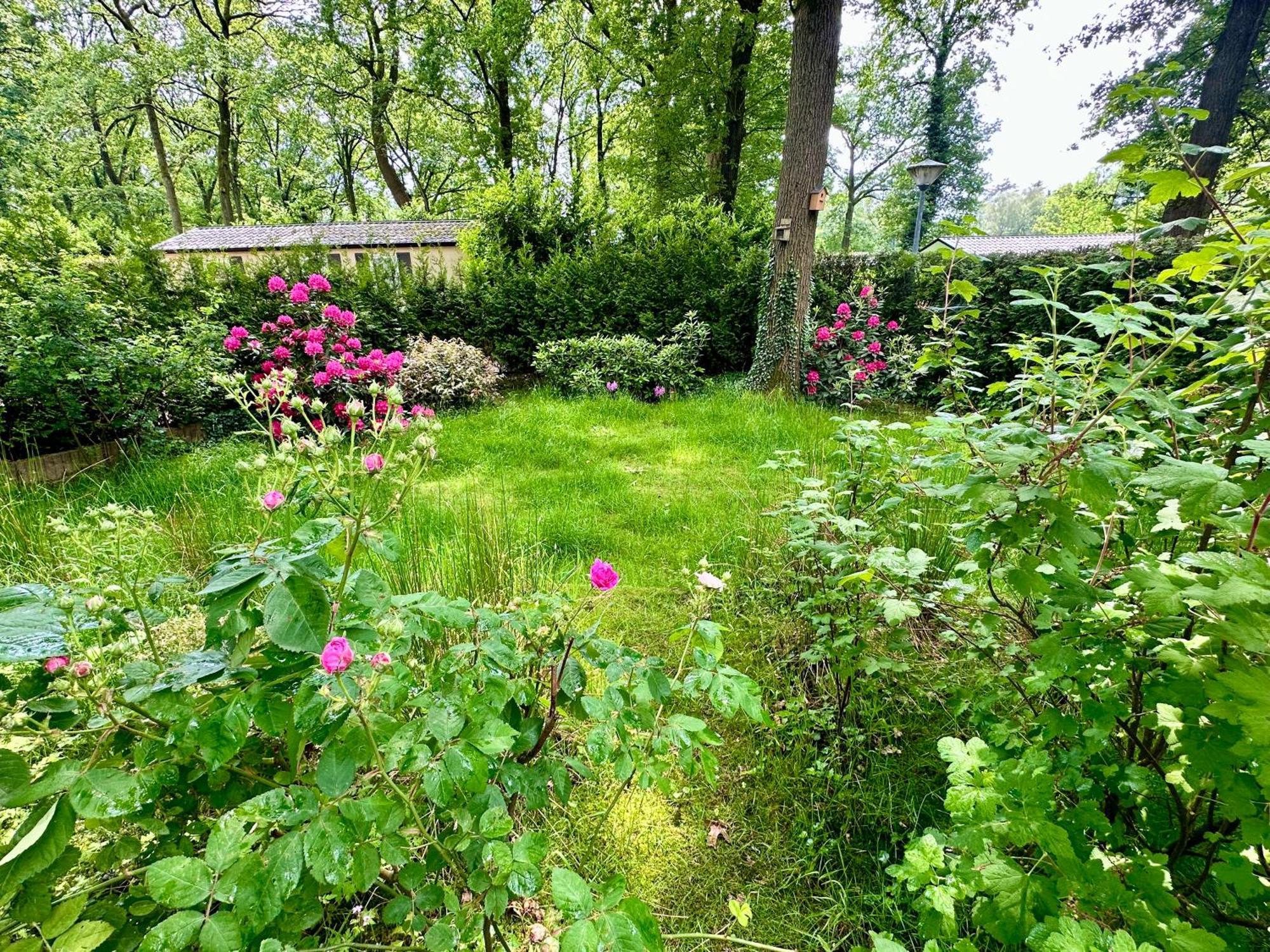Vakantie Veluwe Wageningen Esterno foto