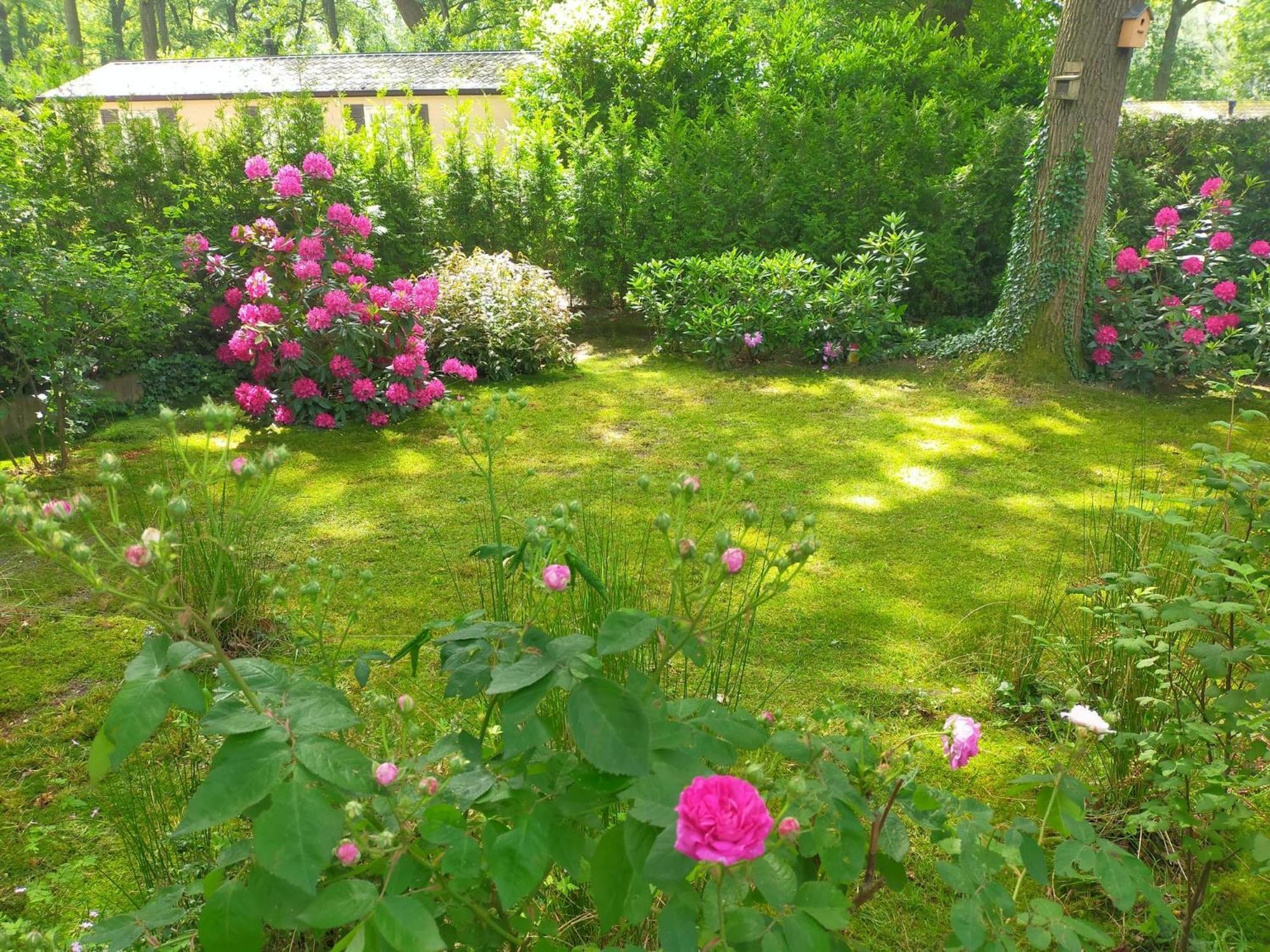 Vakantie Veluwe Wageningen Esterno foto