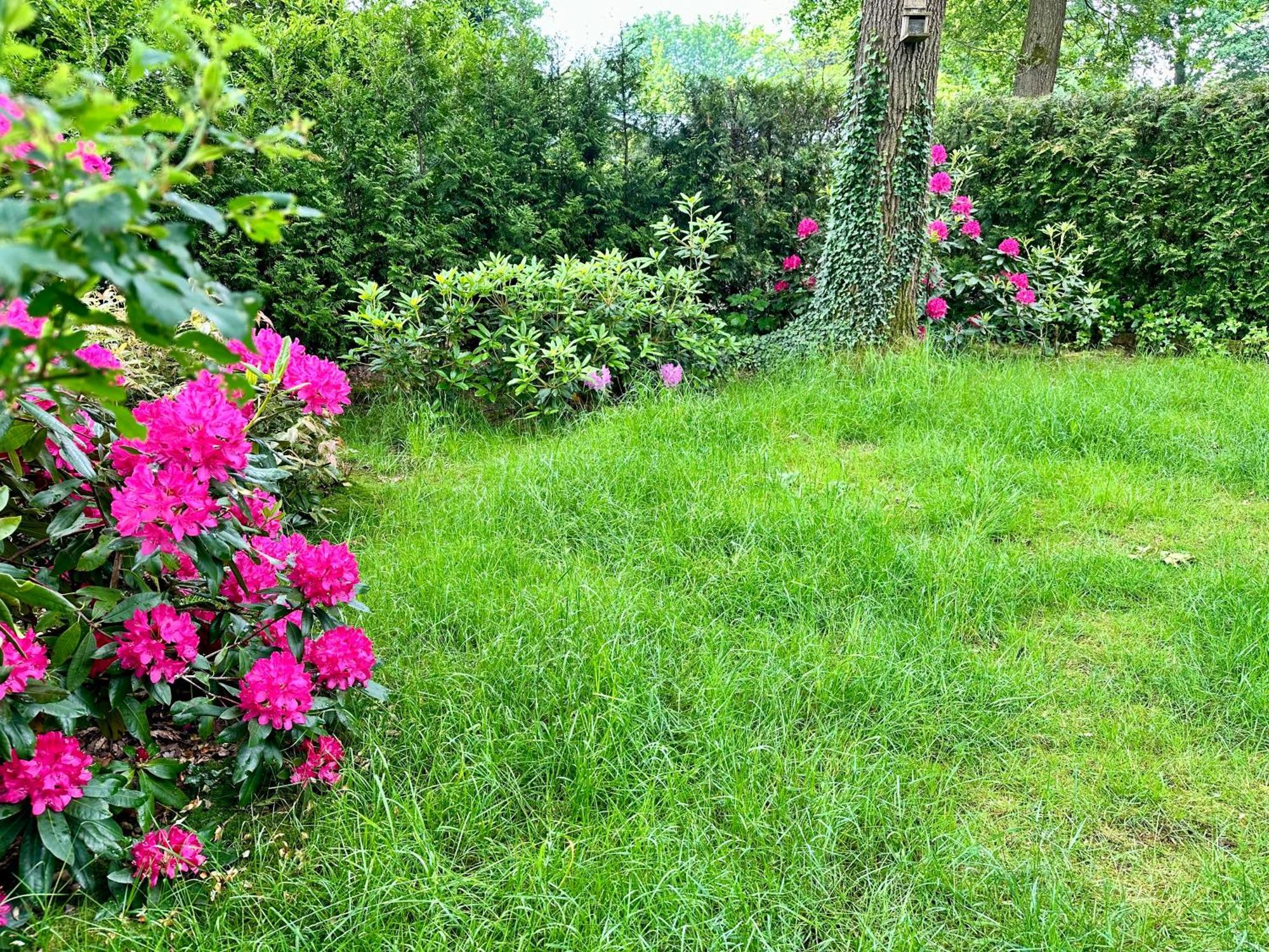 Vakantie Veluwe Wageningen Esterno foto