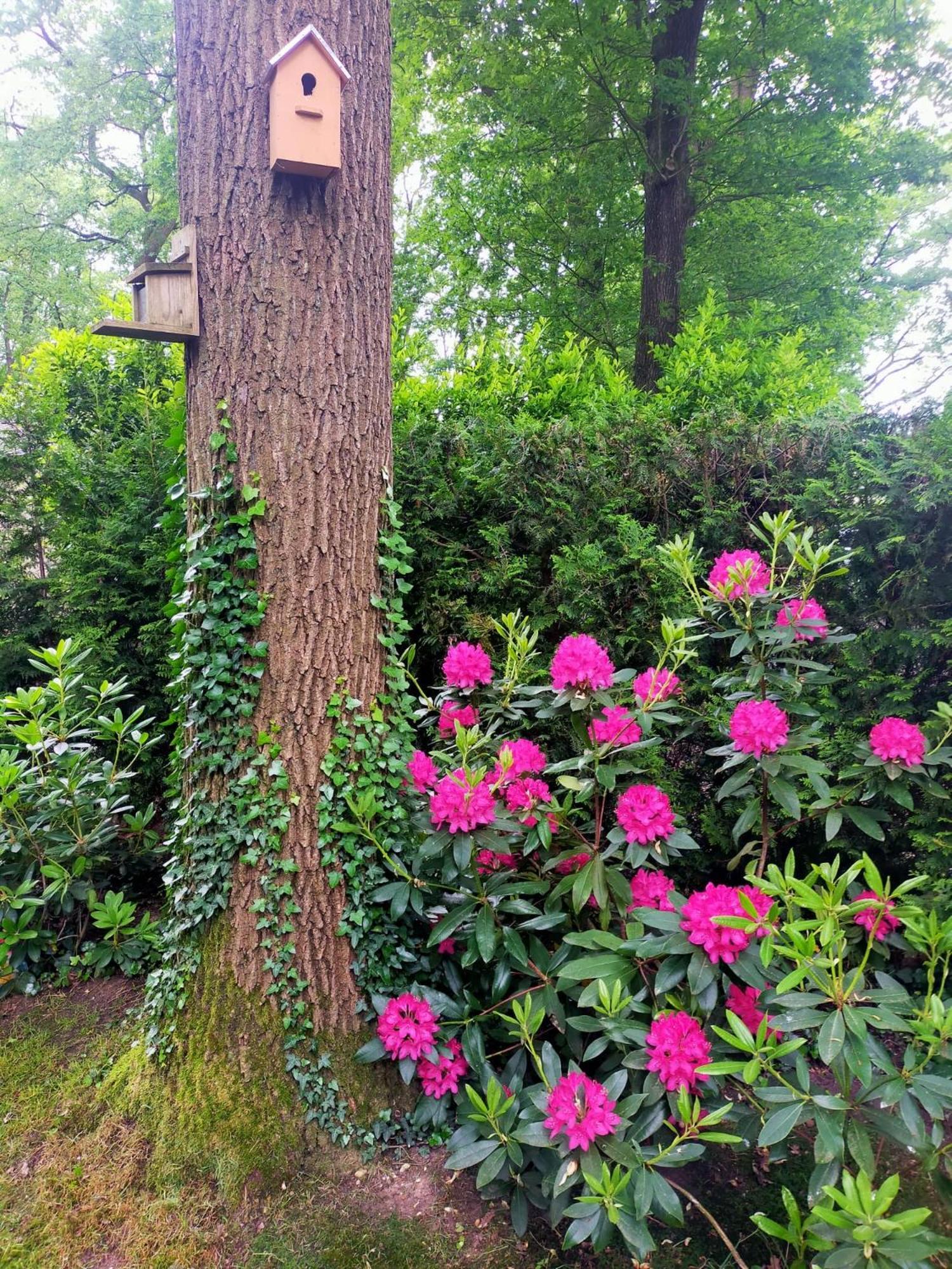 Vakantie Veluwe Wageningen Esterno foto